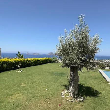 Luxury With Stunning Sea View And Spectacular Sunsets * Αλικαρνασσός